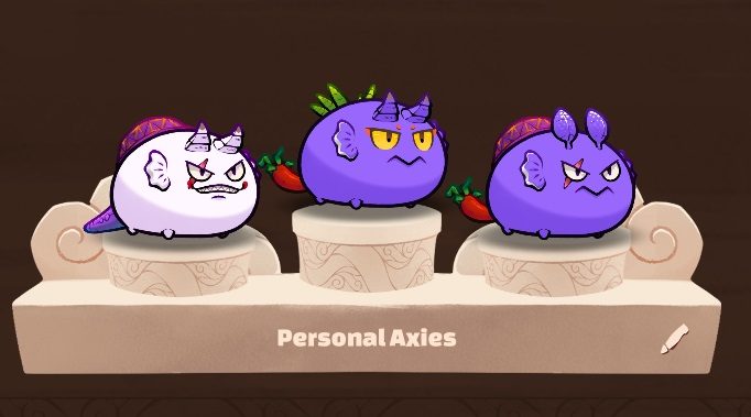 personal-axies-2748086